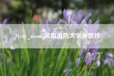 涉县河南消防大学分数线
