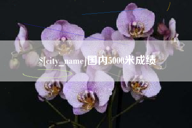 涉县国内5000米成绩