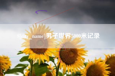 涉县男子世界5000米记录