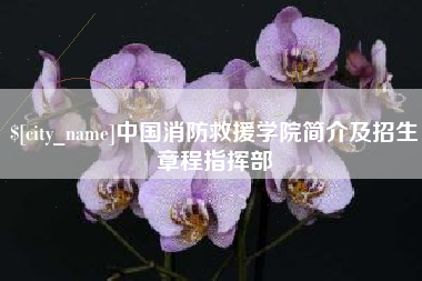 涉县中国消防救援学院简介及招生章程指挥部