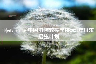 涉县中国消防救援学院2021年山东招生计划