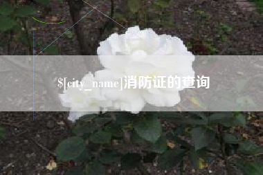 涉县消防证的查询