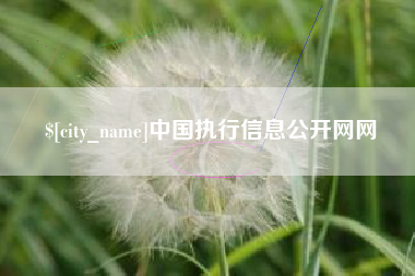 涉县中国执行信息公开网网
