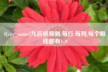 涉县九宫格规则,每行,每列,每个粗线都有1-9