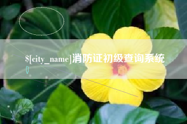 涉县消防证初级查询系统