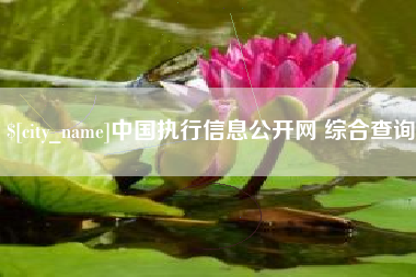 涉县中国执行信息公开网 综合查询
