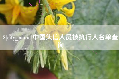 涉县中国失信人员被执行人名单查询