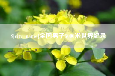 涉县全国男子5000米世界纪录