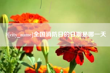 涉县全国消防日的日期是哪一天
