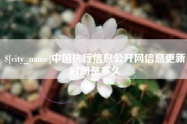 涉县中国执行信息公开网信息更新时间是多久