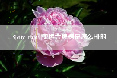 涉县奥运金牌榜是怎么排的