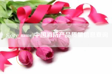 涉县中国消防产品质量信息查询