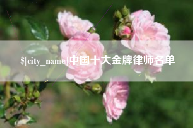 涉县中国十大金牌律师名单