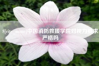 涉县中国消防救援学院对视力要求严格吗
