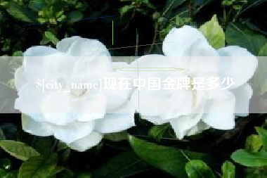 涉县现在中国金牌是多少