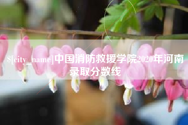 涉县中国消防救援学院2020年河南录取分数线