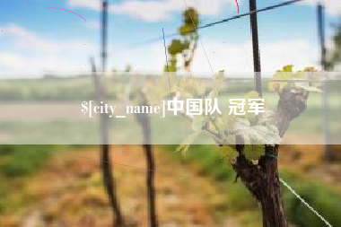 涉县中国队 冠军