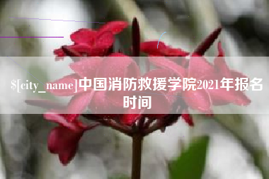 涉县中国消防救援学院2021年报名时间