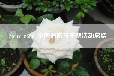 涉县全国消防日主题活动总结
