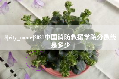 涉县2021中国消防救援学院分数线是多少