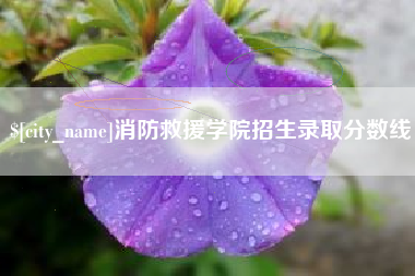 涉县消防救援学院招生录取分数线