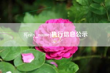 涉县执行信息公示