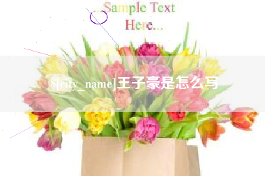 涉县王子豪是怎么写