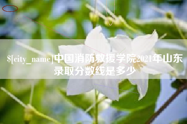 涉县中国消防救援学院2021年山东录取分数线是多少