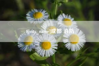 涉县成都 消防