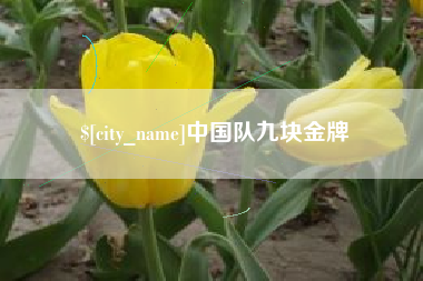 涉县中国队九块金牌