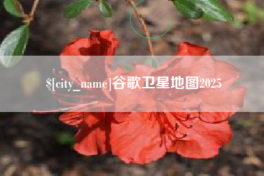 涉县谷歌卫星地图2025