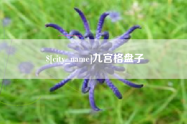 涉县九宫格盘子