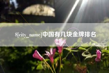 涉县中国有几块金牌排名