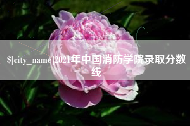 涉县2021年中国消防学院录取分数线