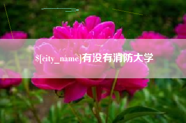 涉县有没有消防大学