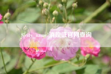 涉县消控证官网查询