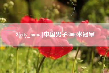 涉县中国男子5000米冠军