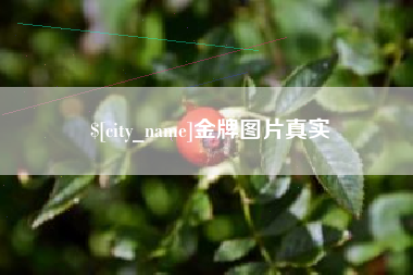 涉县金牌图片真实