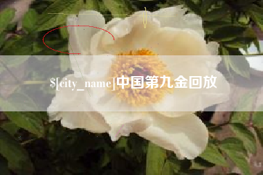 涉县中国第九金回放