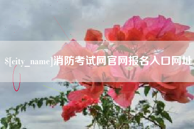 涉县消防考试网官网报名入口网址