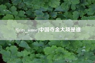 涉县中国夺金大项是谁