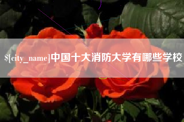 涉县中国十大消防大学有哪些学校
