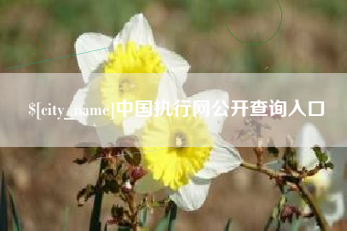 涉县中国执行网公开查询入口