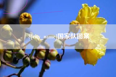 涉县国家队图案