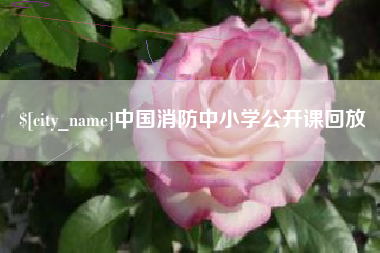 涉县中国消防中小学公开课回放