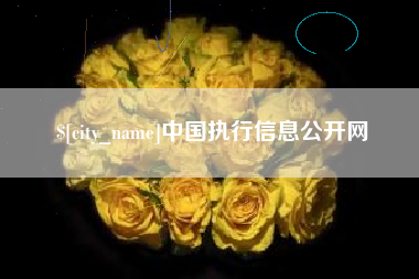 涉县中国执行信息公开网