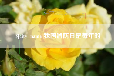 涉县我国消防日是每年的