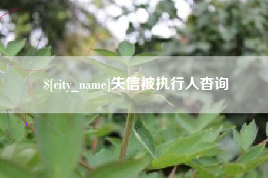 涉县失信被执行人杳询
