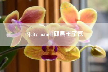 涉县邱县王子磊