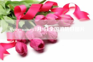 涉县11月9日全国消防日图片